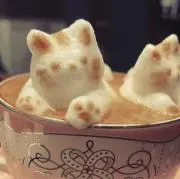 katzeの画像