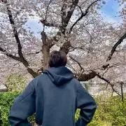 Ｙ⭐️の画像