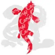 こいこいの画像