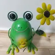 かえるの画像
