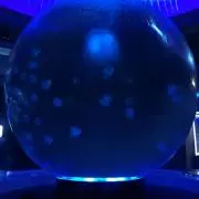 まーちゃん　プロフ必読お願いします