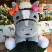 Y★の画像
