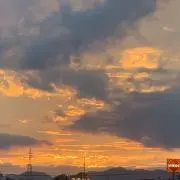 マークX 99