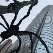 w m b s s sの画像