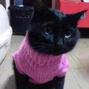 ともともの画像