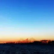 いぬ