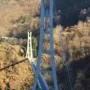 ペロペロチャッピーの画像