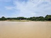 247の画像