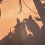 Rの画像