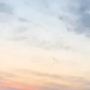 大福の画像
