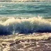Seaの画像