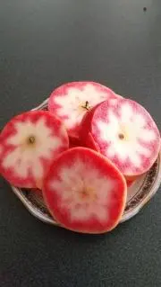 のっちの画像