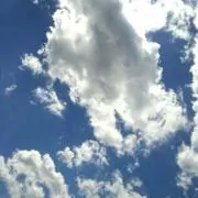 ちぃの画像