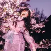 即決可能の画像