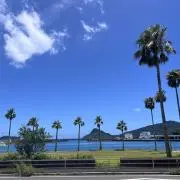 パールの画像