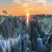 PONPOKOの画像