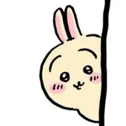 usgの画像