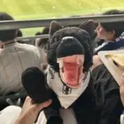 ccmrの画像