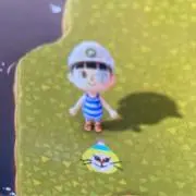 こあらのマーチの画像
