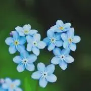 まみぃ✩プロフご確認ください✩.*˚の画像