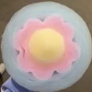 よっしにゃんの画像