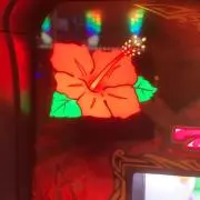 たまごり