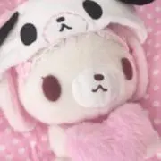 ぽこ♡の画像