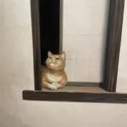 おのまとぺの画像