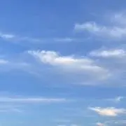 ユの画像