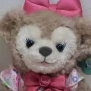 sweetmomo