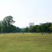なもの画像