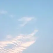 断捨離中のキメラの画像