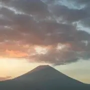 フリーダム