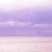 ・