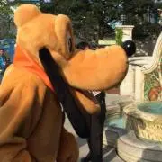 最終値下げ中