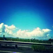 maronの画像