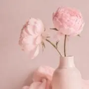 ちいの画像