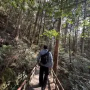 Bibek Lamaの画像