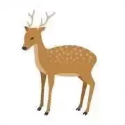 シカちゃんの画像