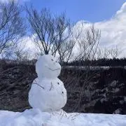 彩