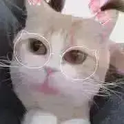 jamlam  発送変更あり/詳細プロフの画像