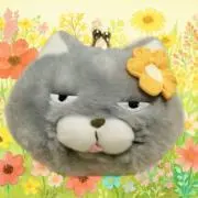ひまわりの画像