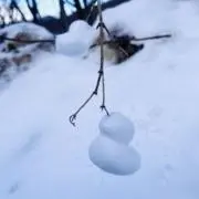 RKの画像