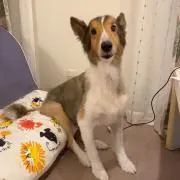 a☺︎の画像