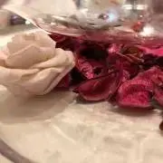 NNの画像