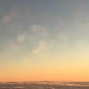 誰かさん