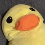 HHの画像