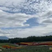 mozukuの画像