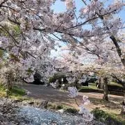 麺市場の画像