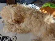 Y.